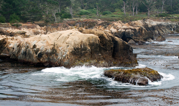 Carmel Coast Point Lobos