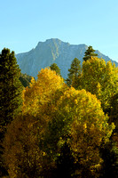 Fall Color in the Sierra June Lake