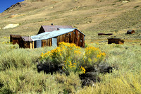 Bodie Ghostown Building photo by Tom