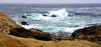 Carmel Coast Point Lobos